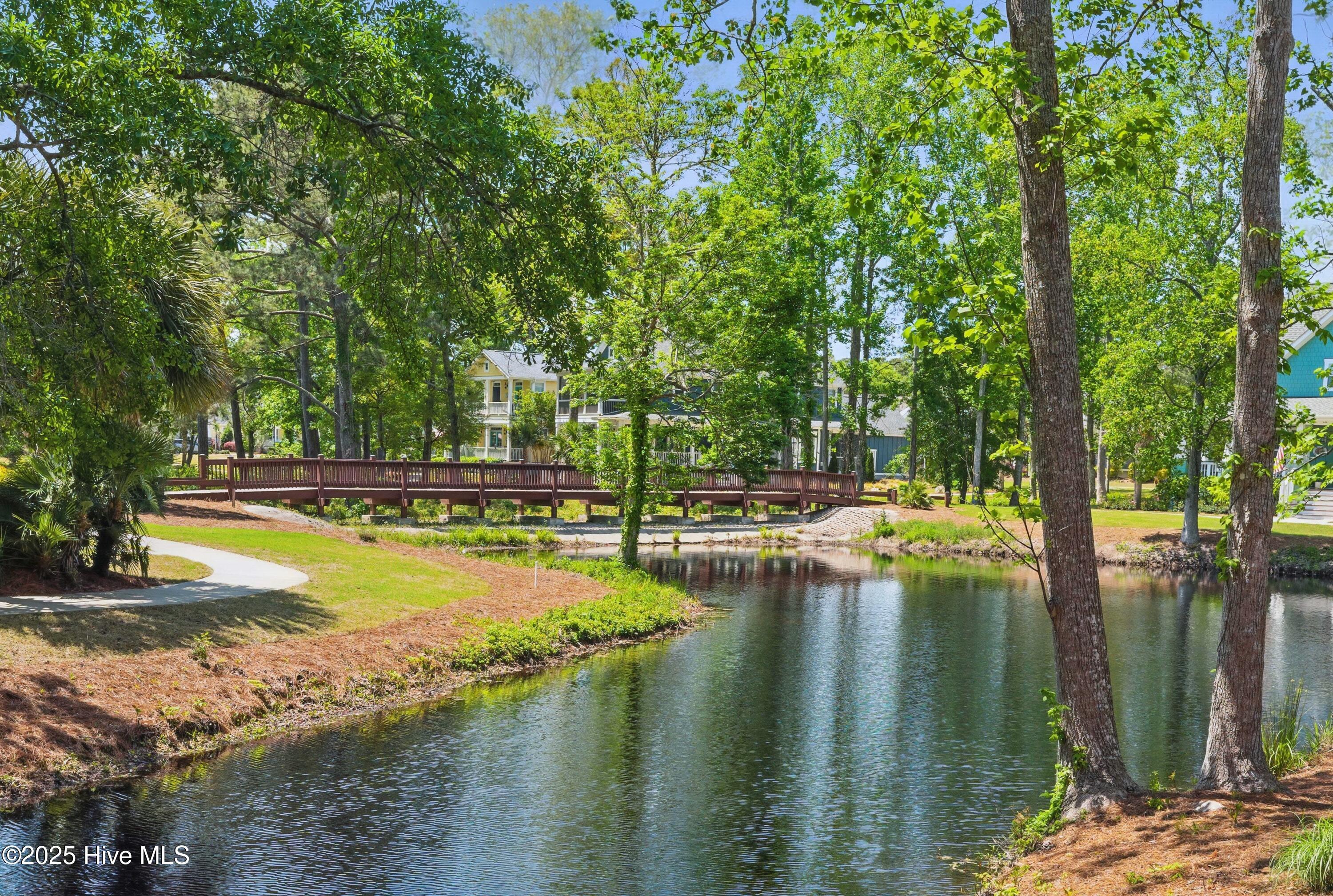 100503387 | Photo 61