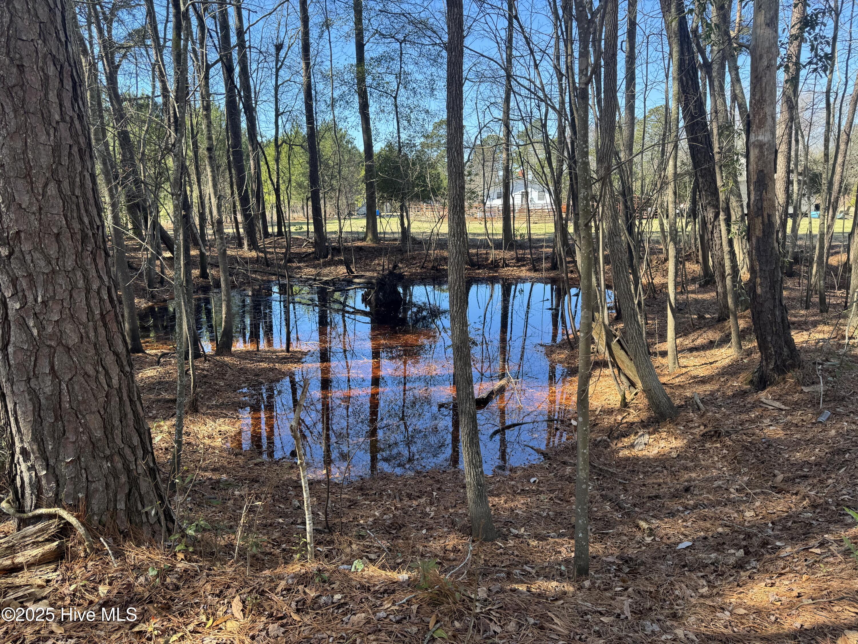 100490813 | Photo 26