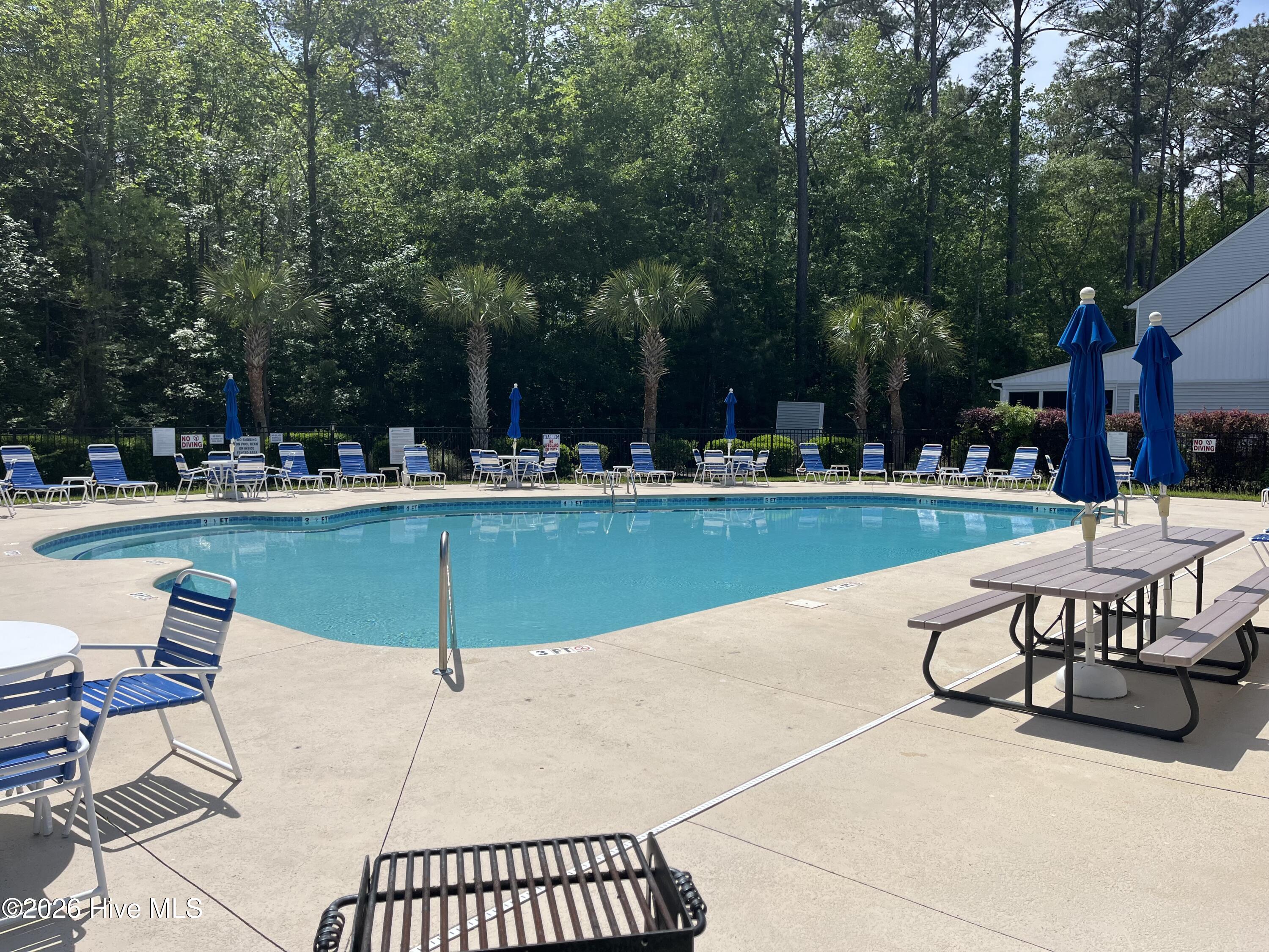 100564936 | Photo 22