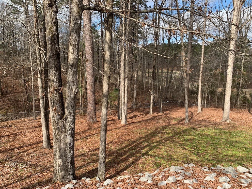 3050 Surrey Road, Thomson, GA 30824 Listing Photo  43
