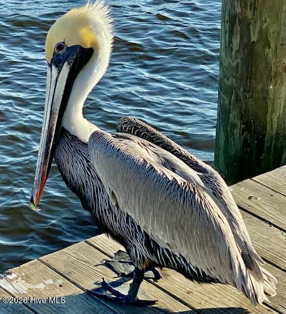 100558842 | Photo 16