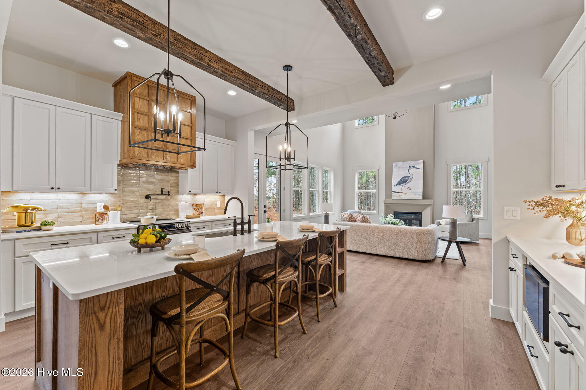 34-web-or-mls-DSC00131