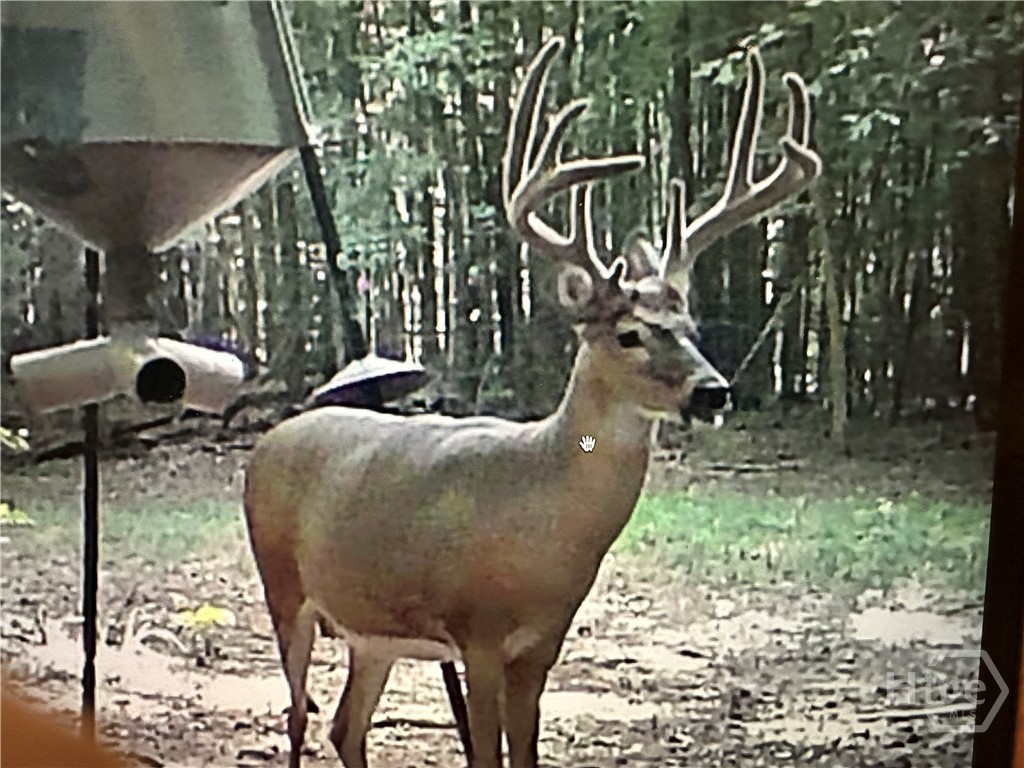 1050 Cedar Grove Drive, Buckhead, GA, 30650