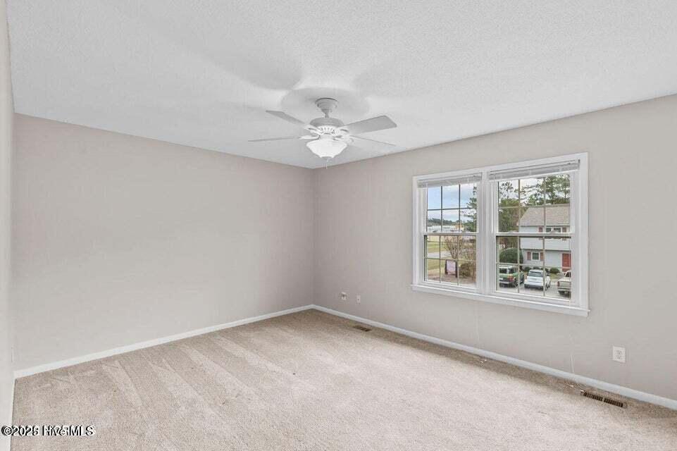 100565233 | Photo 15