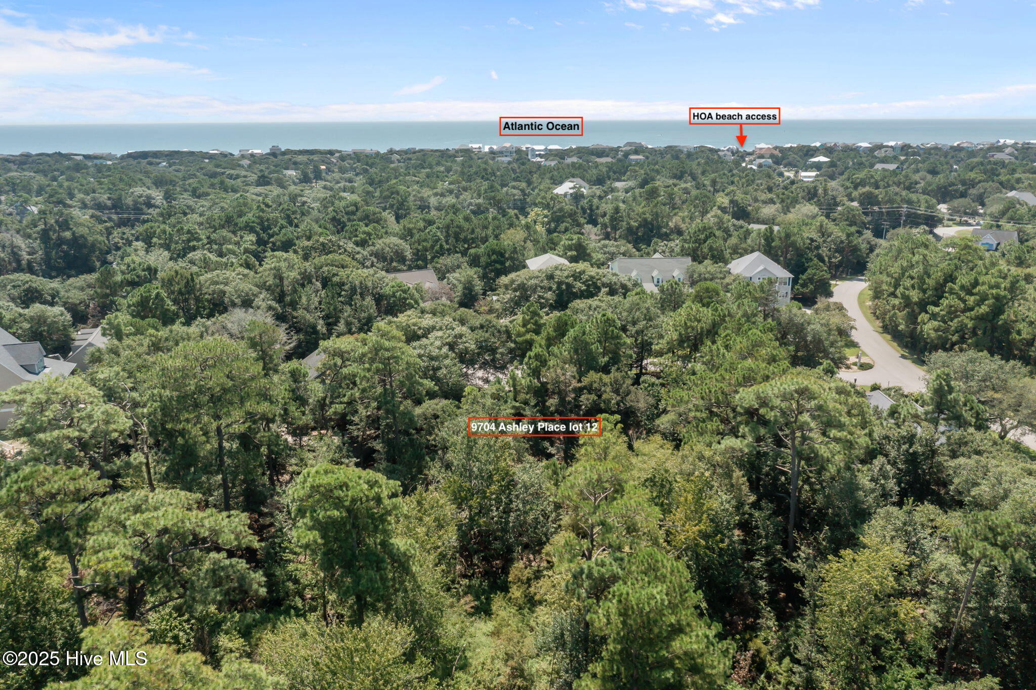 100526103 | Photo 12