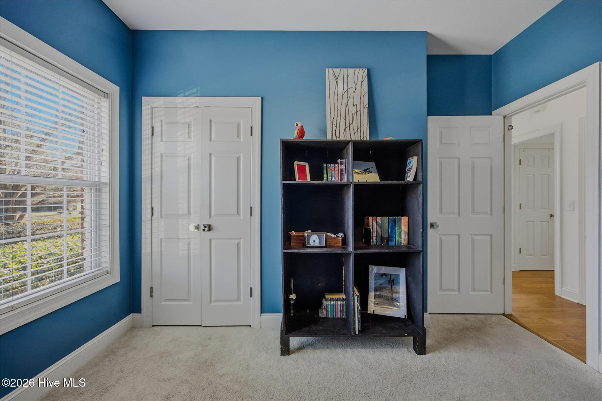 100554989 | Photo 30