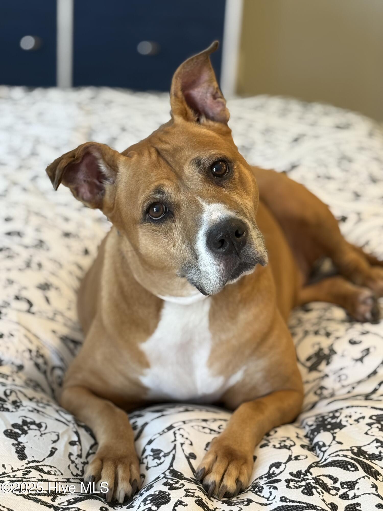 100540094 | Photo 83