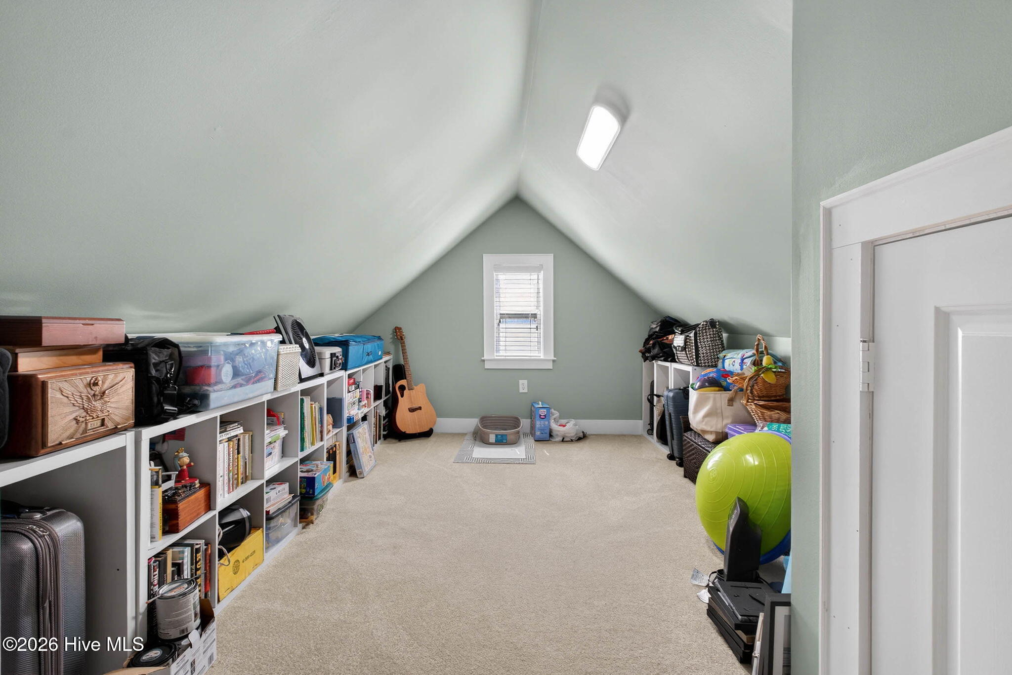 100564784 | Photo 35