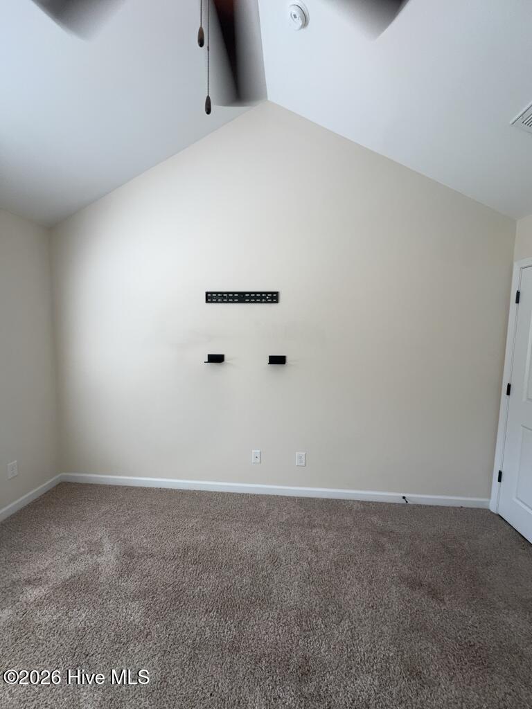 100563176 | Photo 13