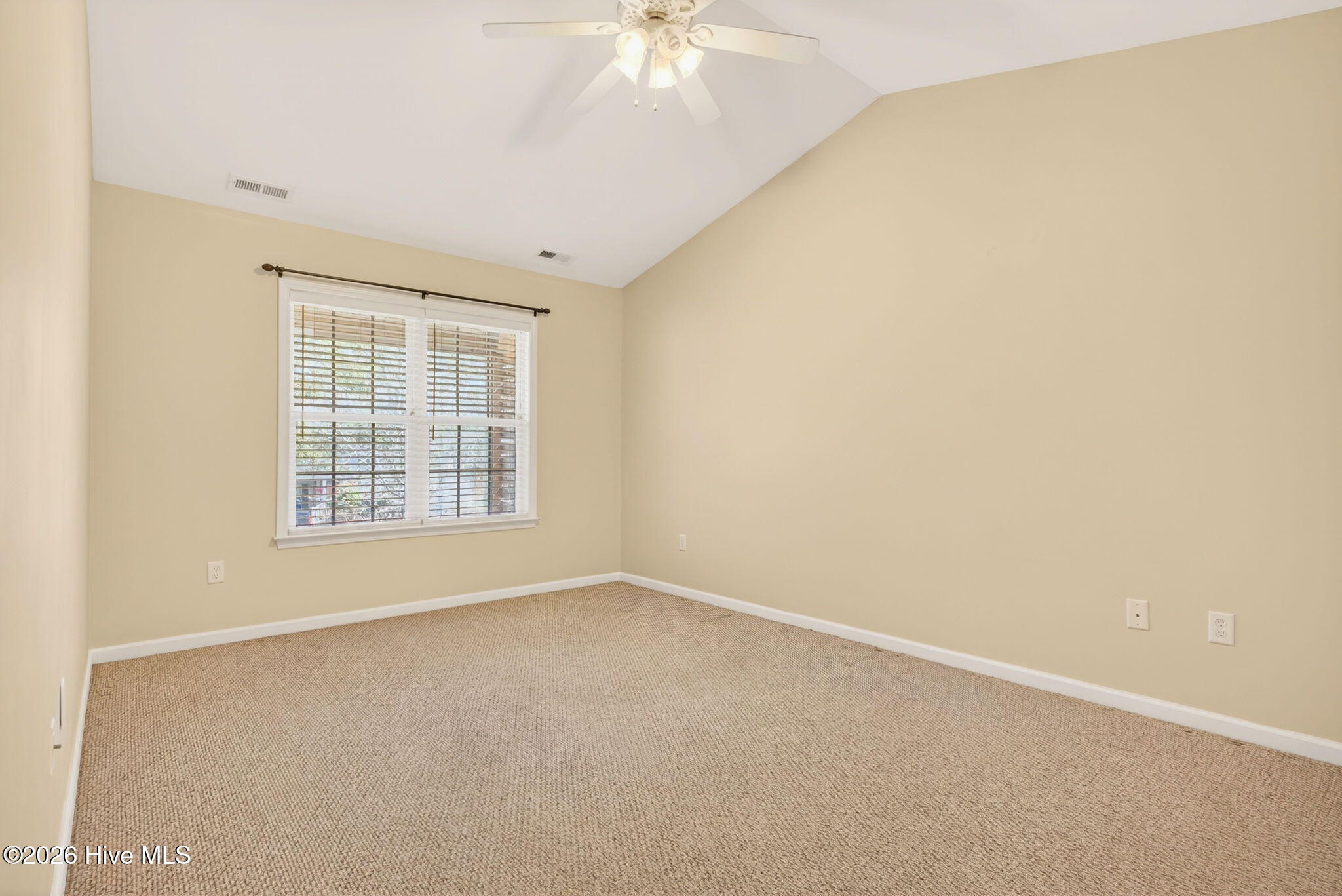 100558532 | Photo 31