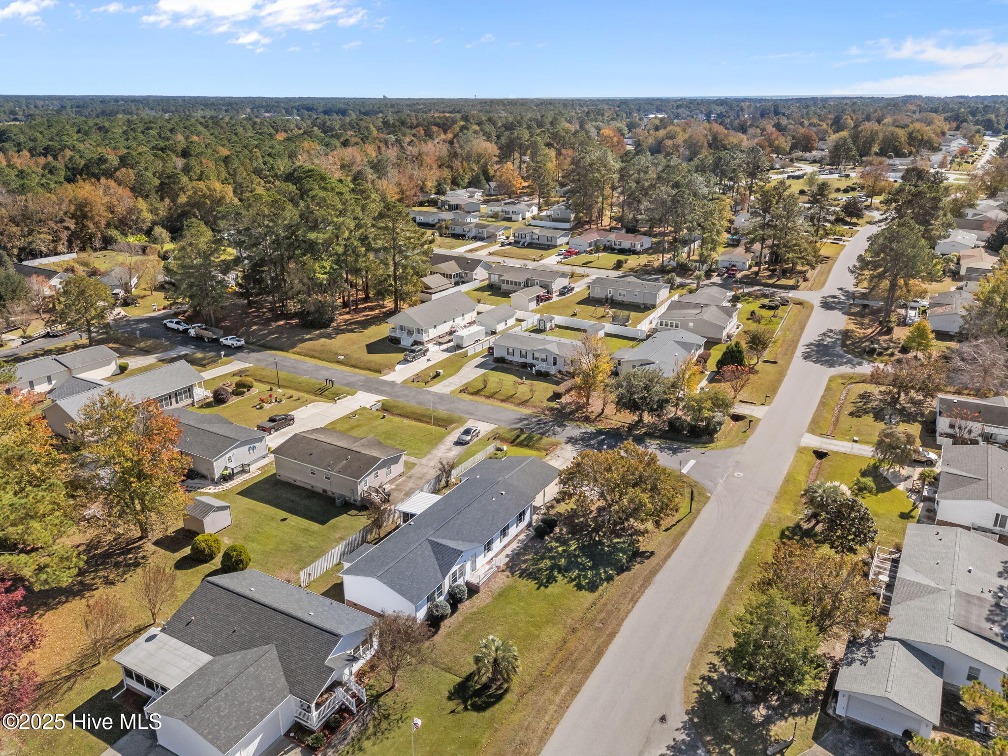 100535102 | Photo 45