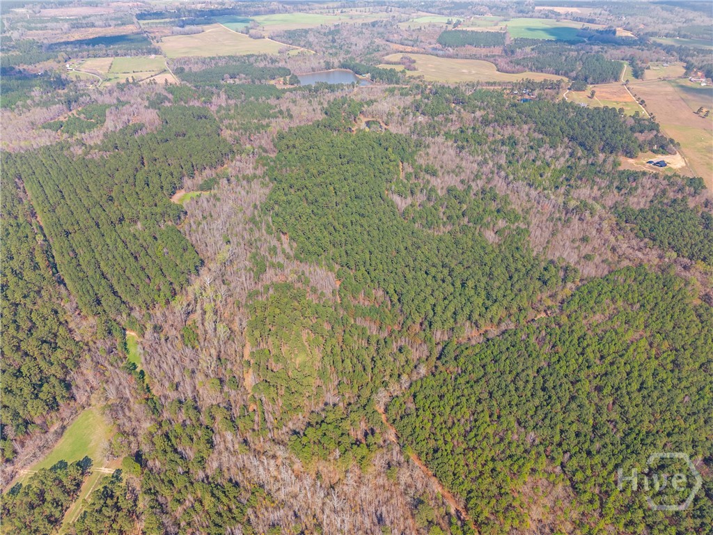 3127 Buttermilk, Sylvania, GA, 30467