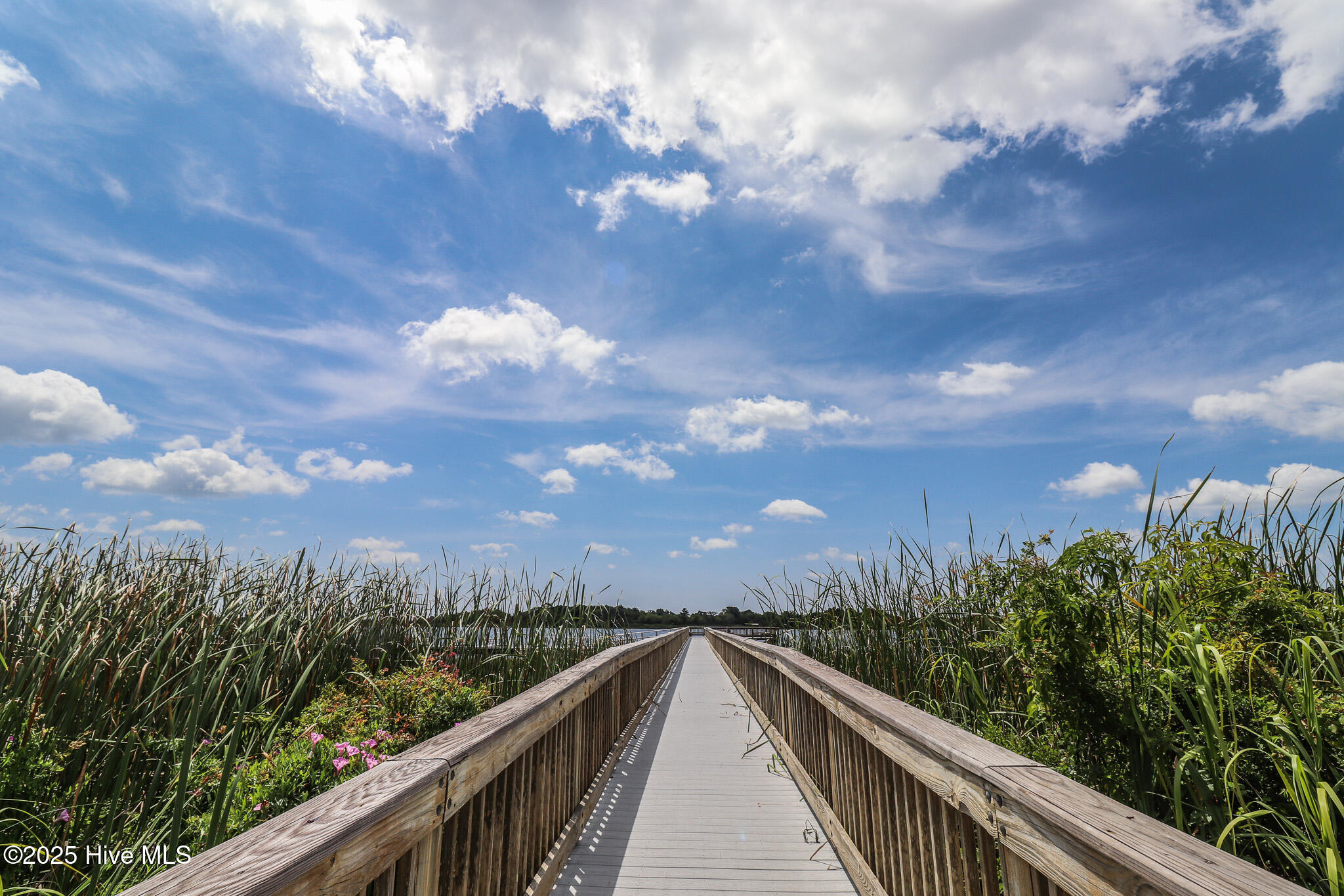 100523400 | Photo 30