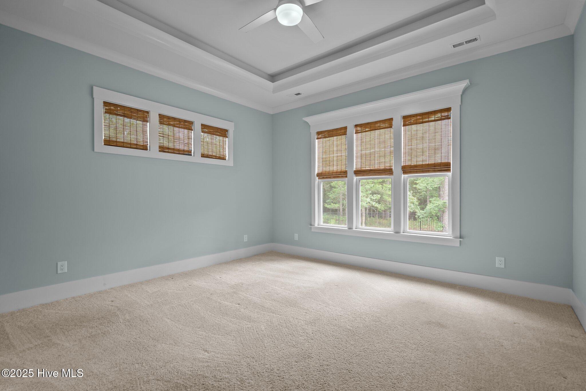 100510918 | Photo 22