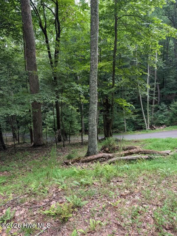 4th image of 190 Valley Crest Dr, Blairsville, GA 30512 | MLS# 100590267