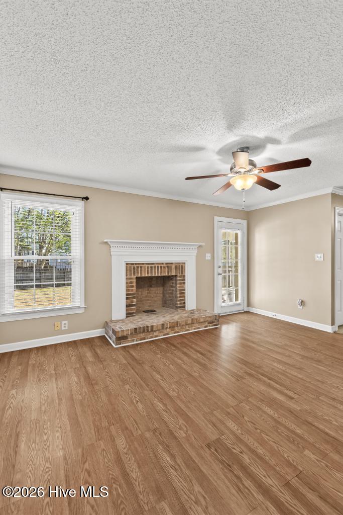 100566141 | Photo 16