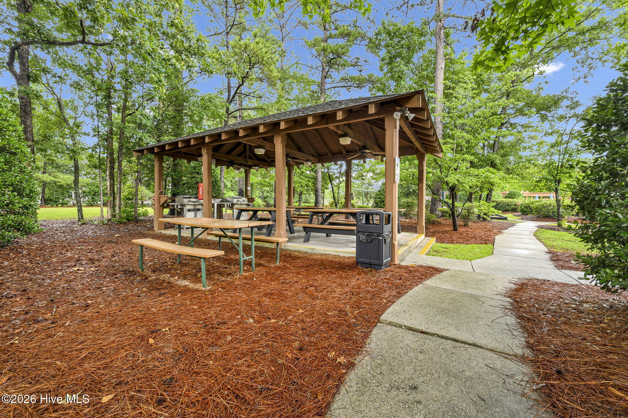 100557033 | Photo 46