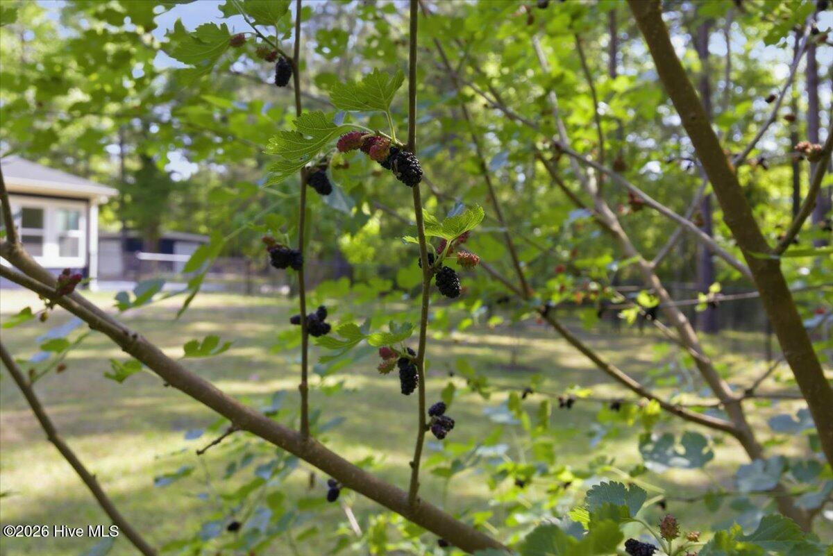 100569854 | Photo 124