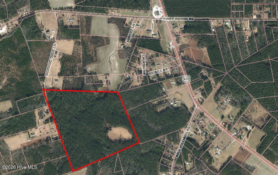 2nd image of 6260 Morning Dove Ln, Willard, NC 28478 | MLS# 100595551