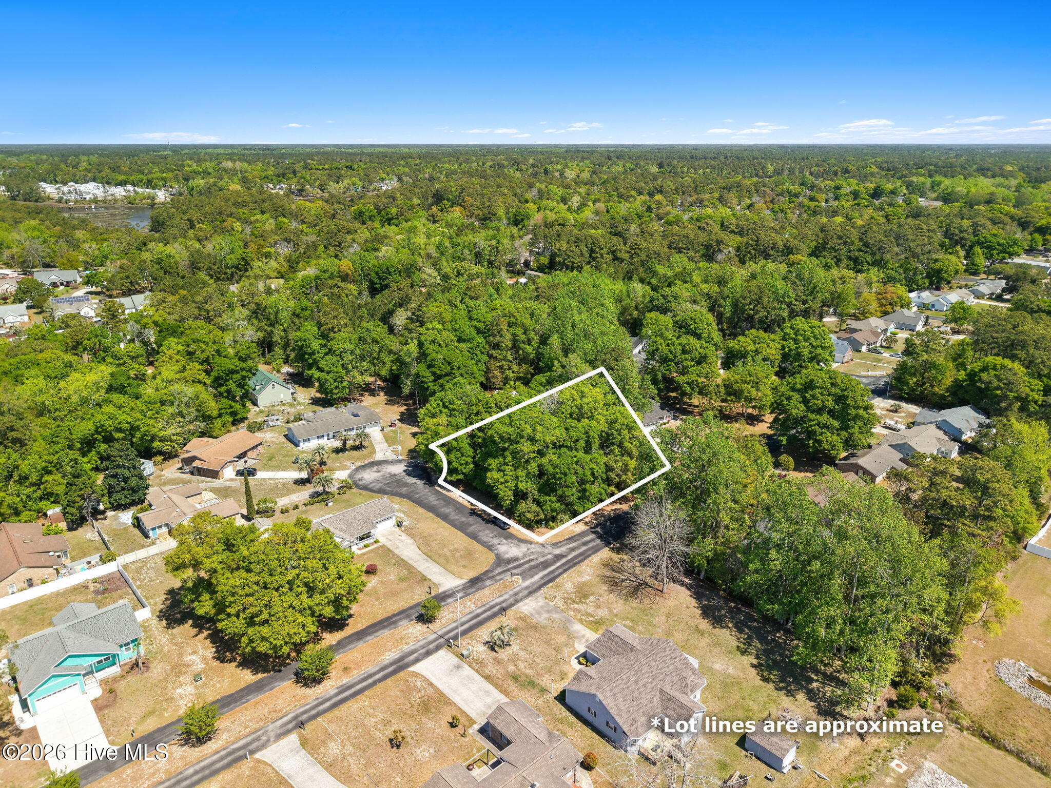 100566837 | Photo 13