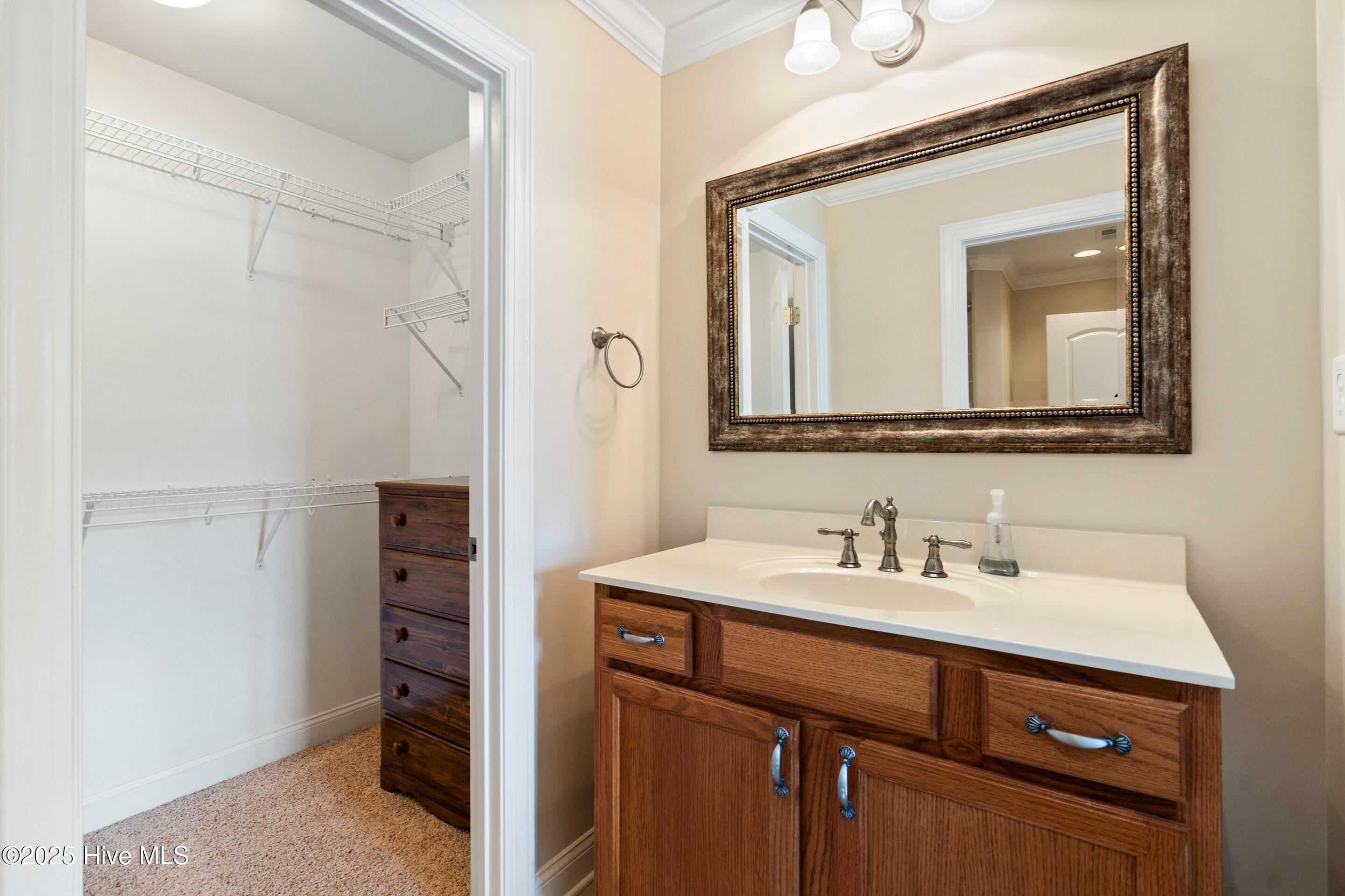 100518438 | Photo 45