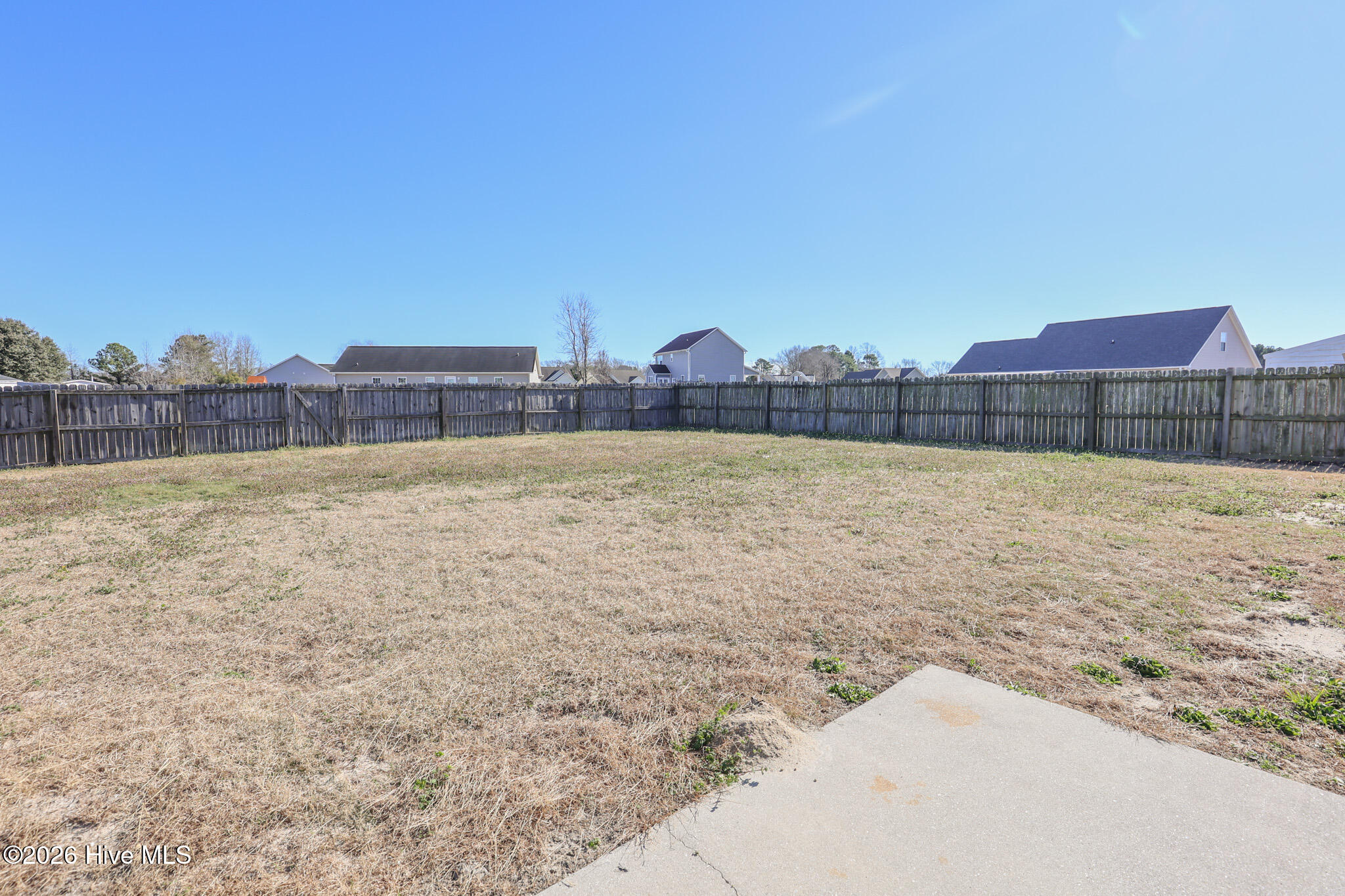 100523026 | Photo 42