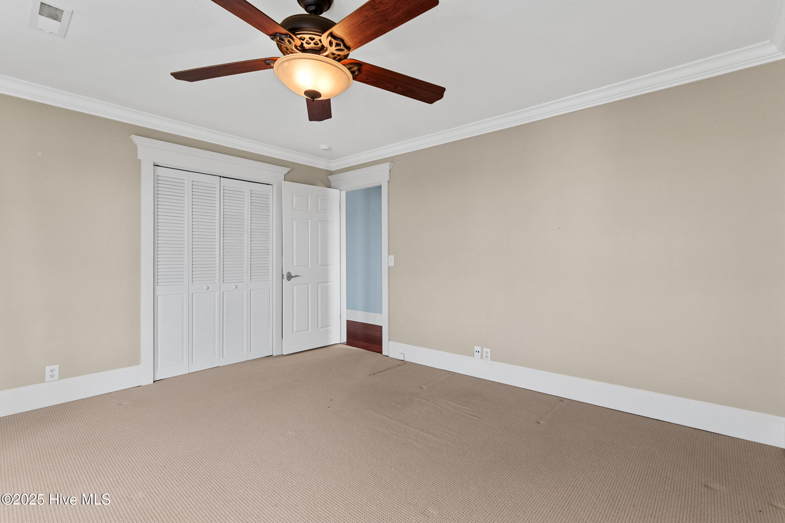 100538767 | Photo 34