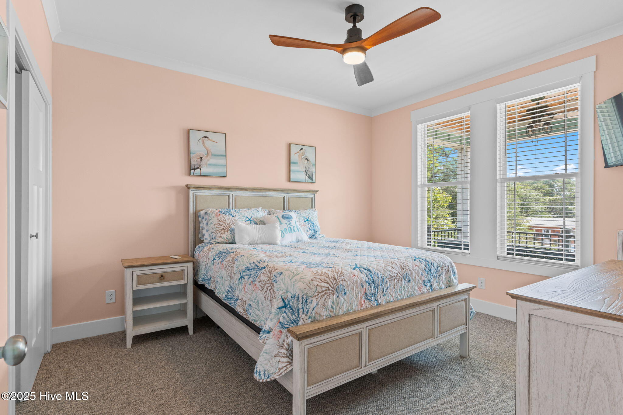 100527753 | Photo 57