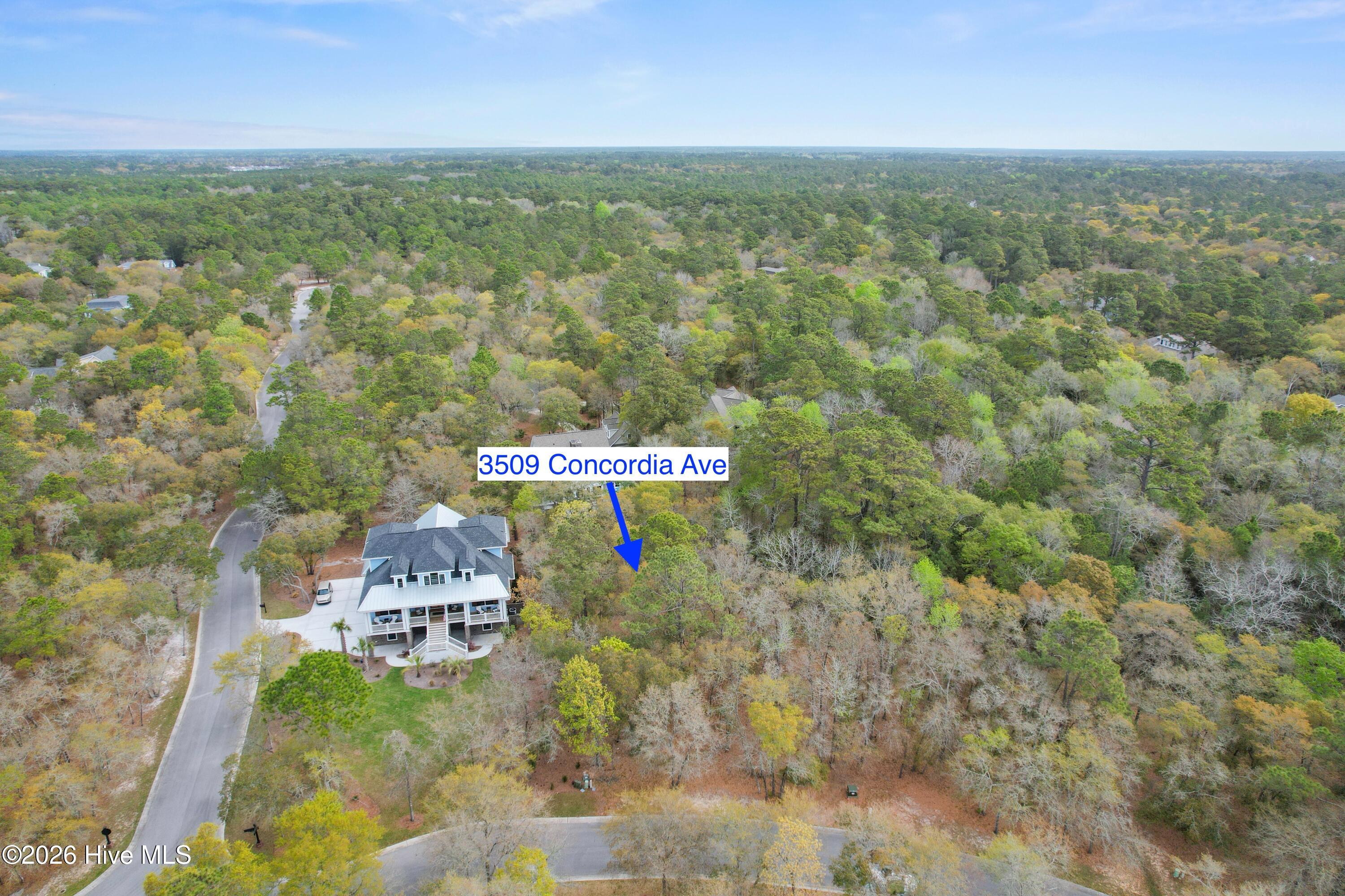 100567626 | Photo 19