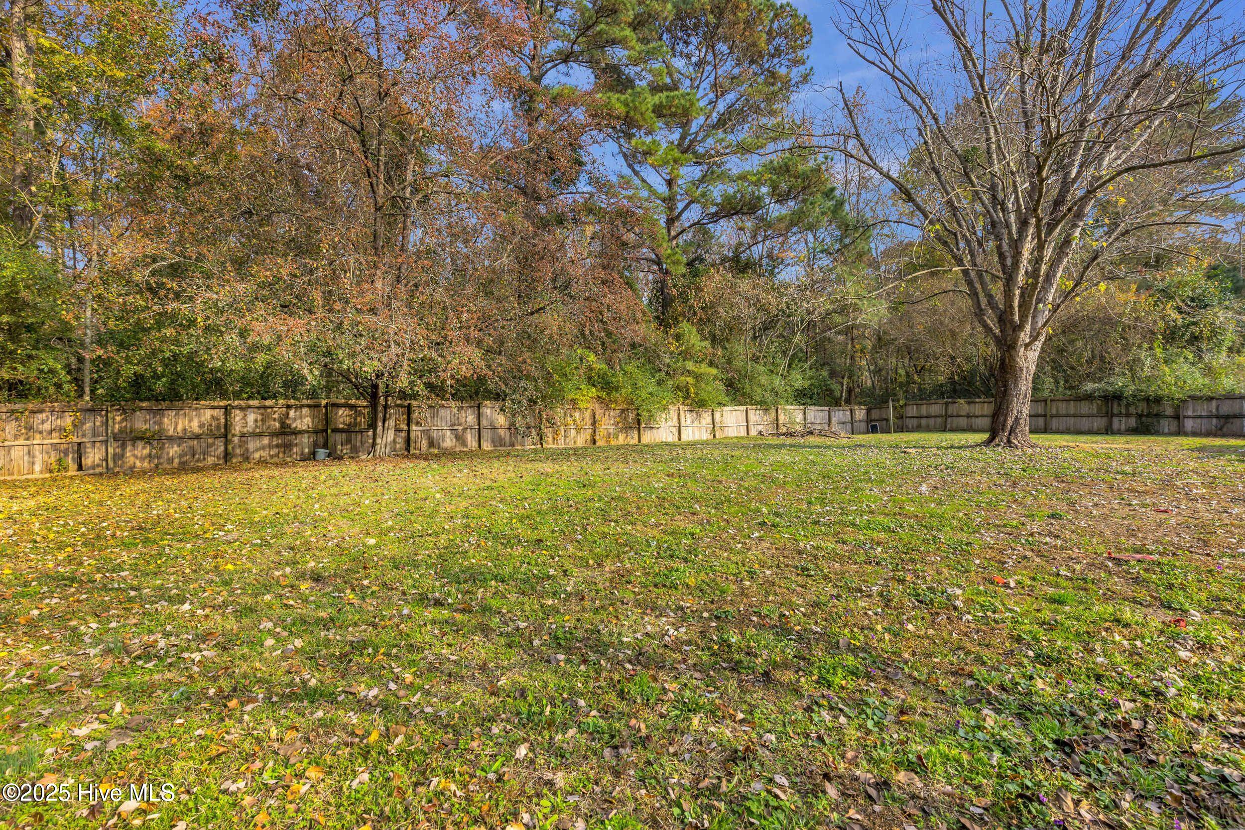 100543256 | Photo 41