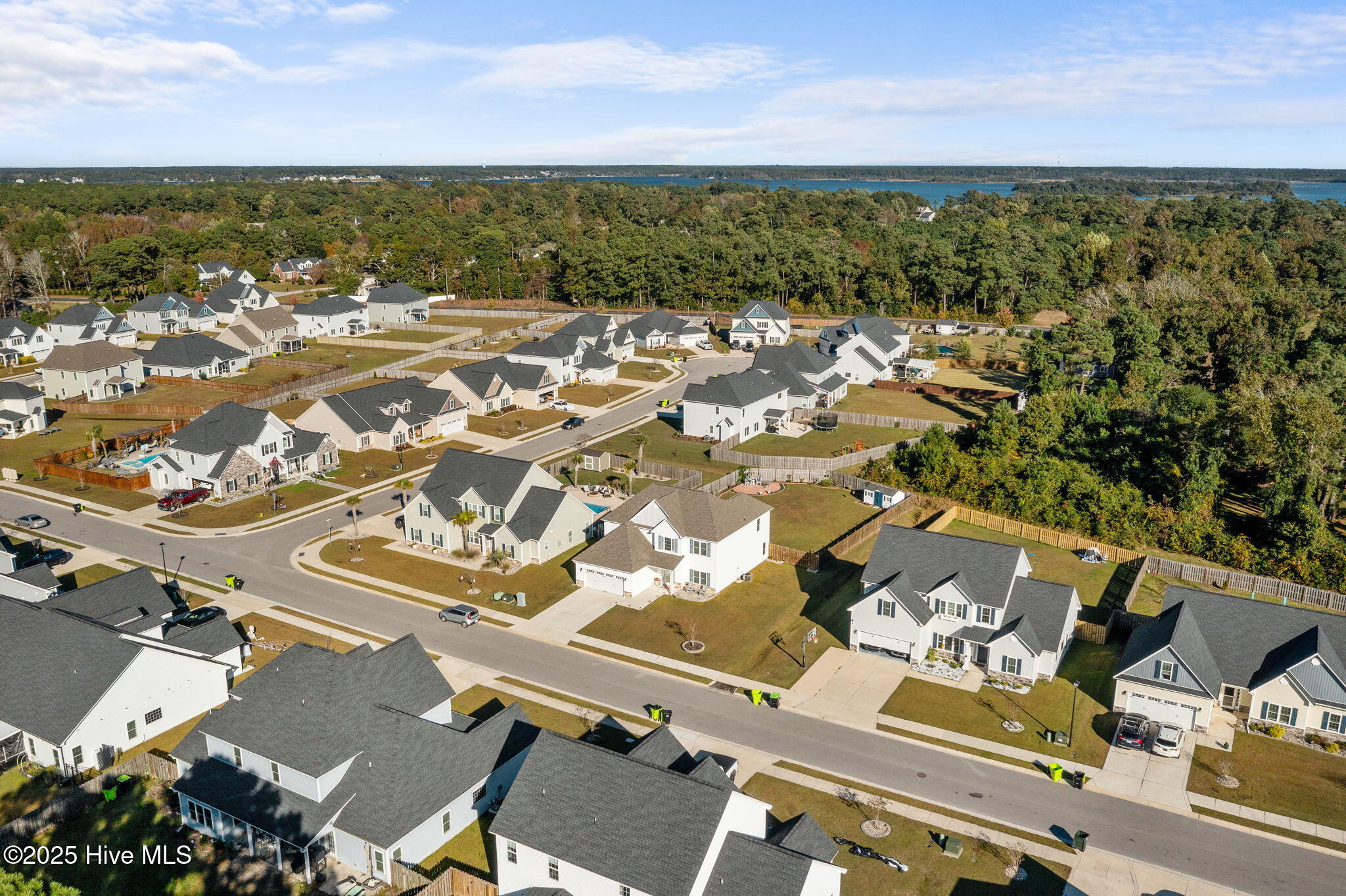 100539073 | Photo 53