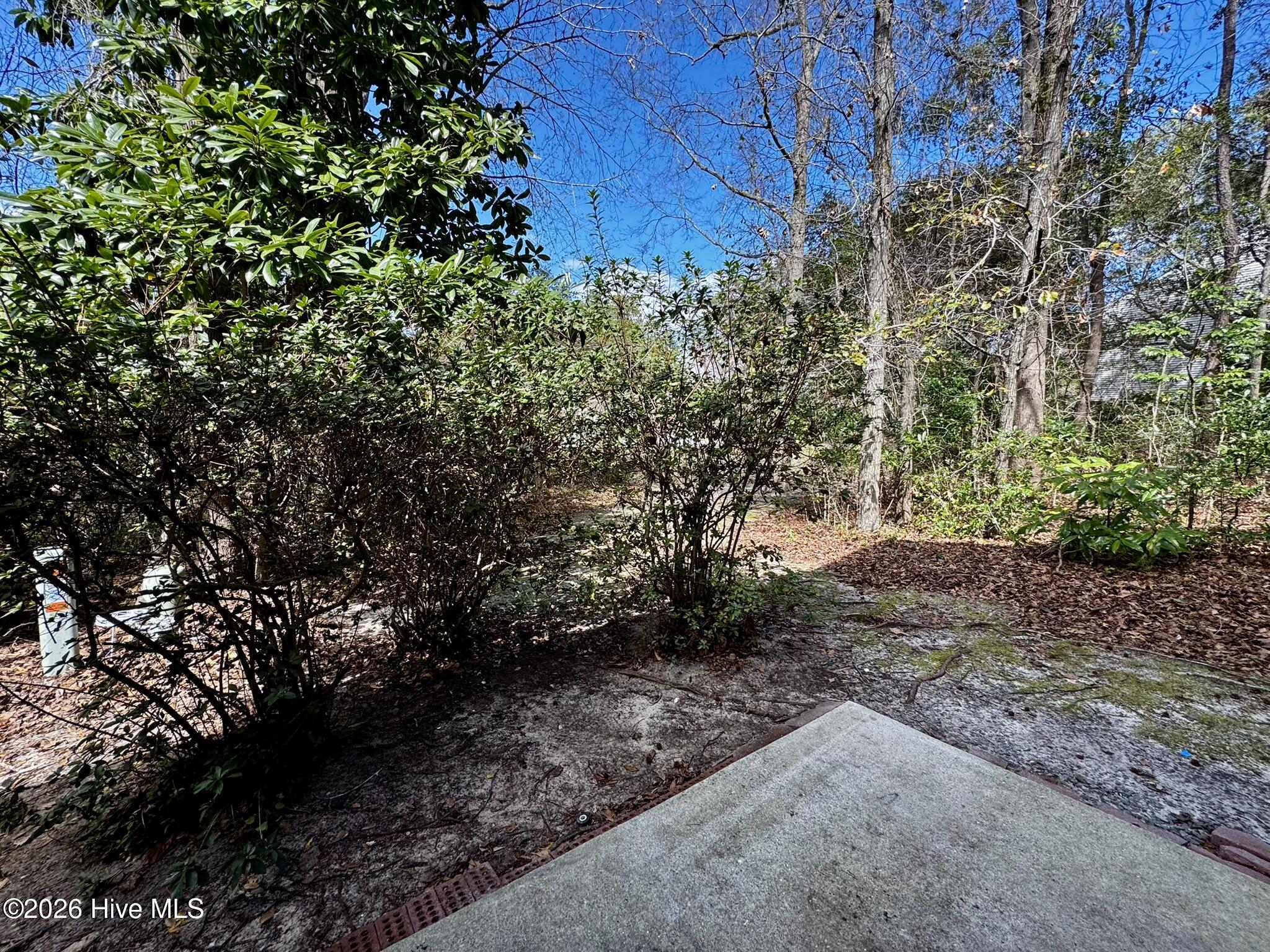 100550960 | Photo 16