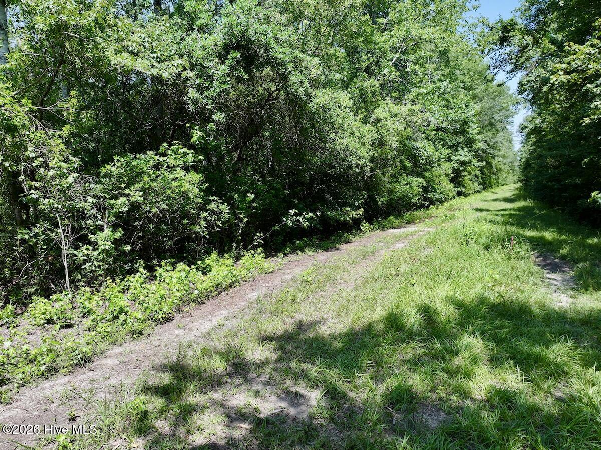 Exterior photo of 0 24-34 Guinea Mill Road, Ernul, NC 28527. MLS: 100598192