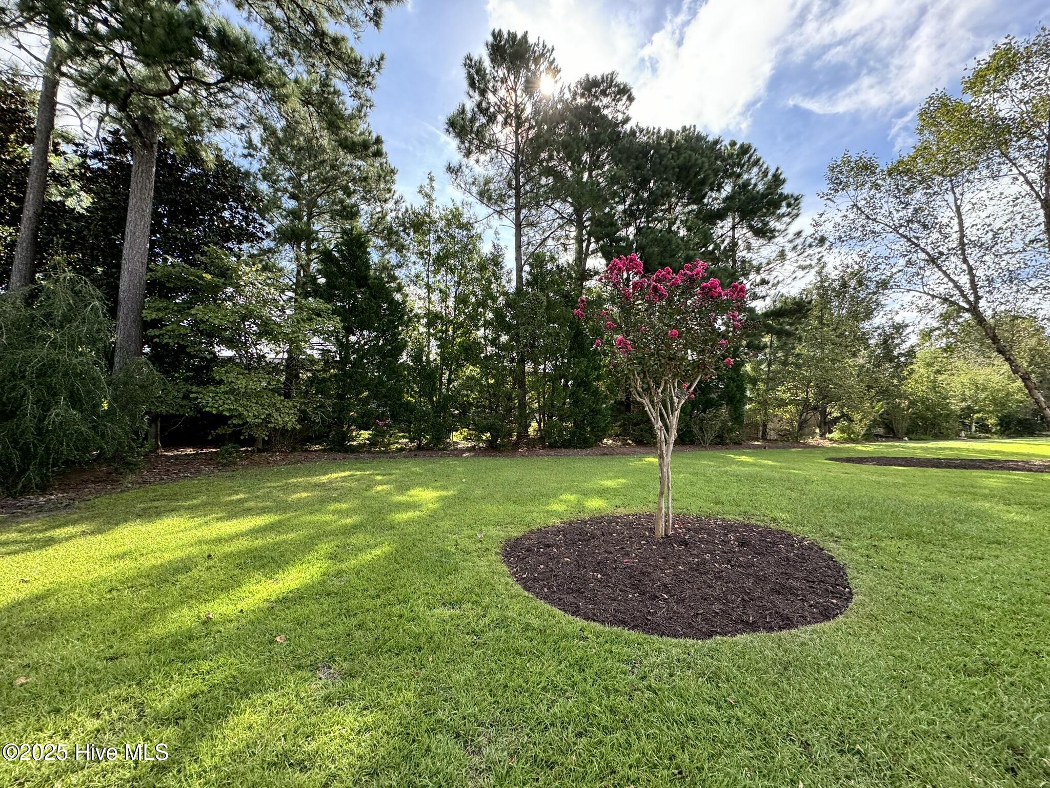 100526978 | Photo 12