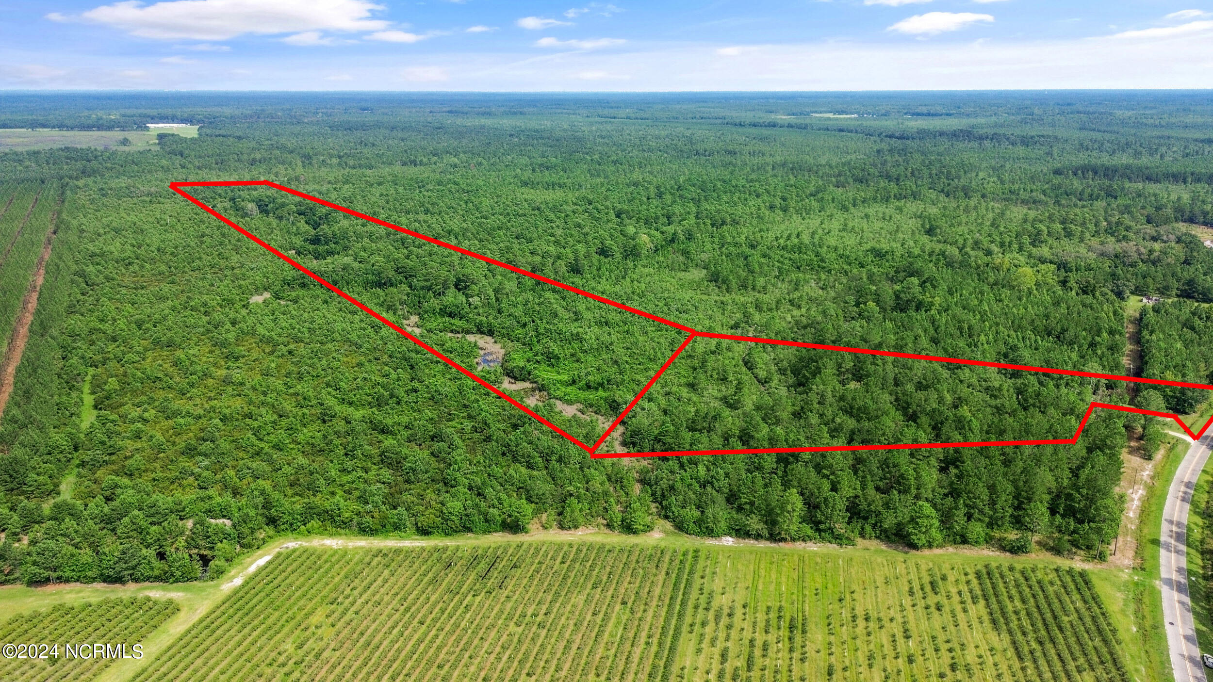 Homes for sale in Ivanhoe, NC | 1 Lizzie Henry Rd, Ivanhoe, NC 28447 | MLS# 100551625