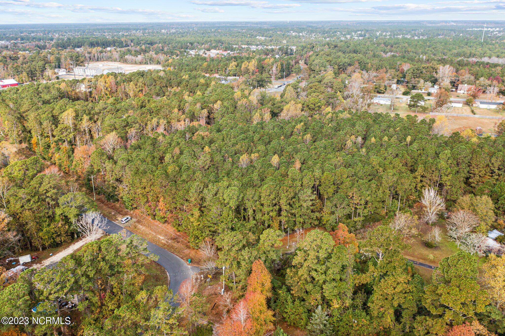 100415479 | Photo 18