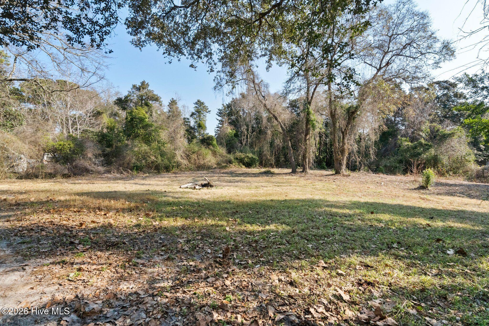 100554354 | Photo 50