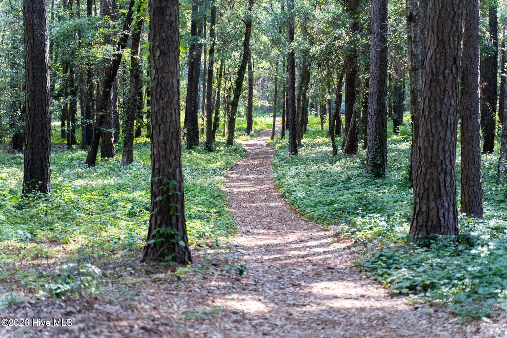 100563683 | Photo 51