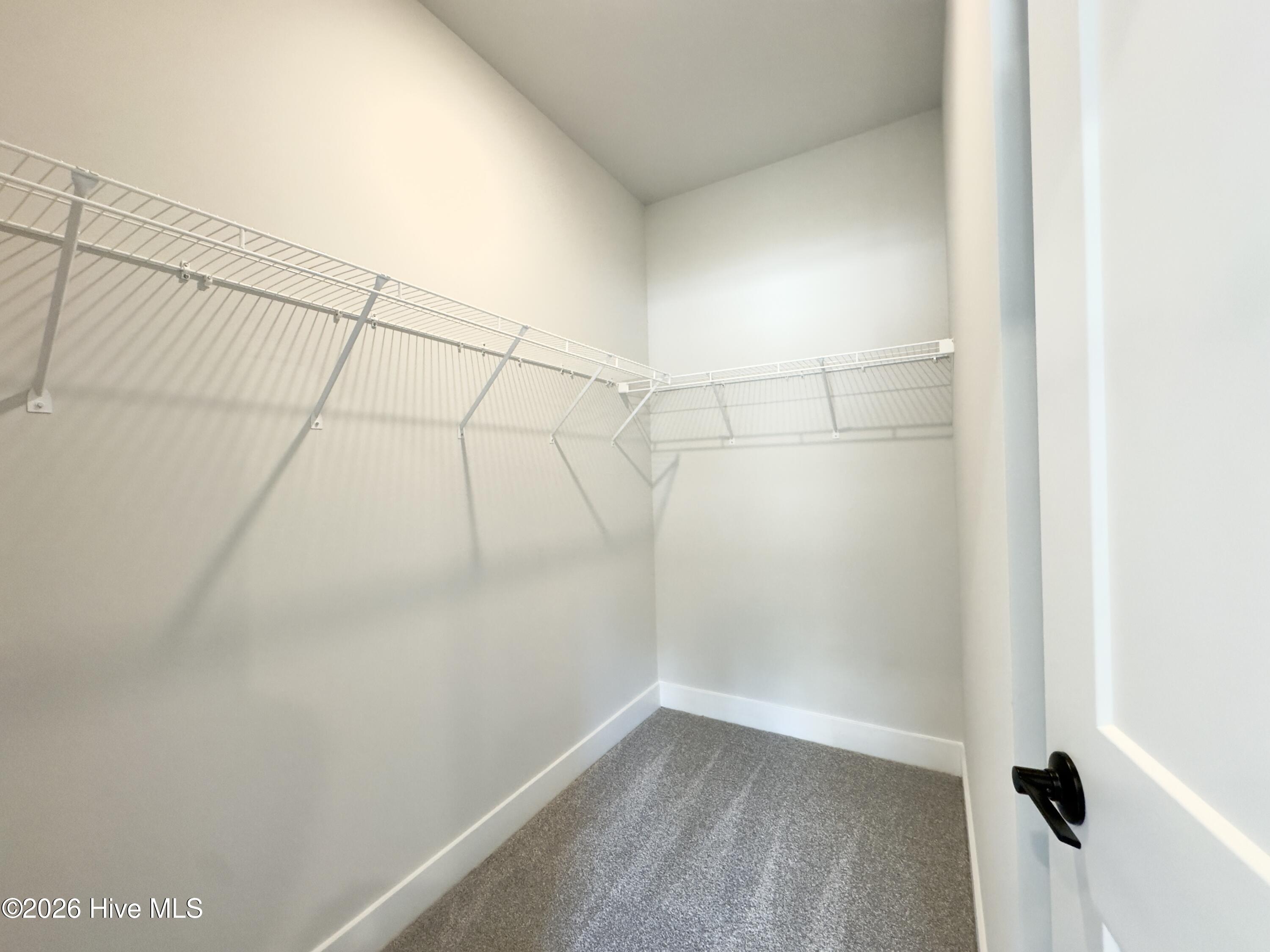 100547297 | Photo 14