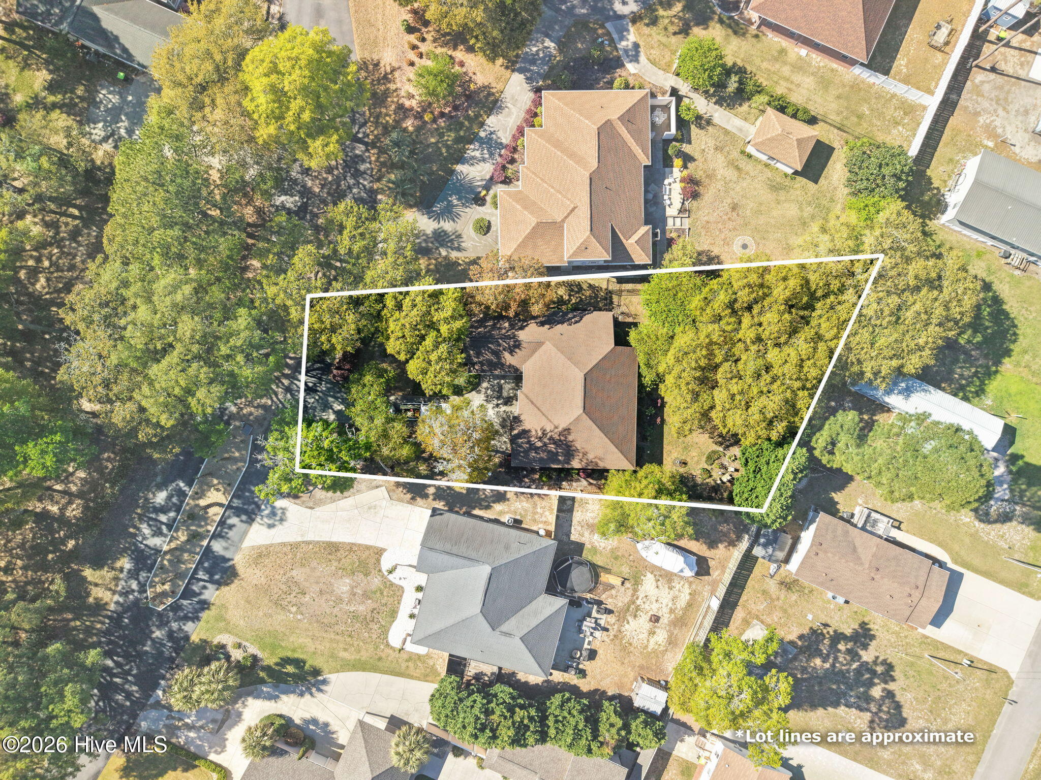 100567853 | Photo 47