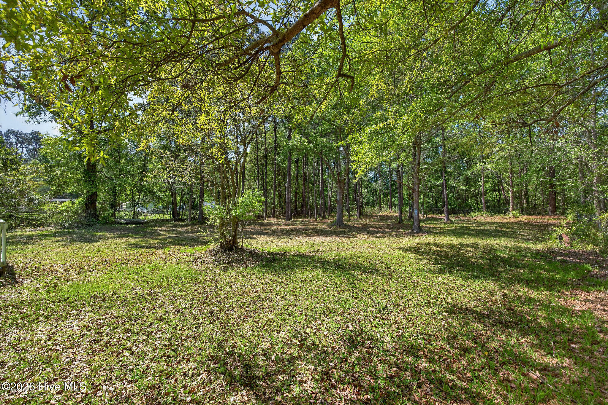 100566333 | Photo 39