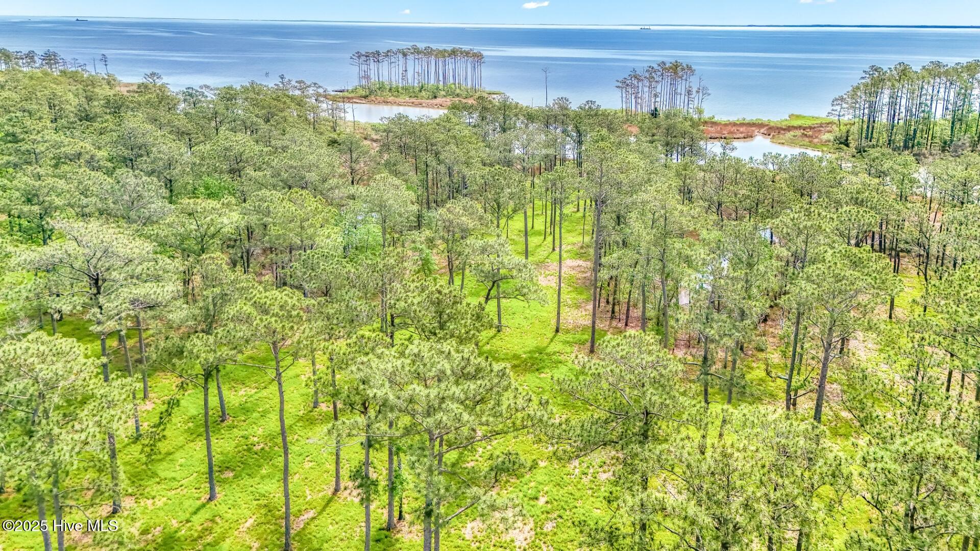 175 River Watch Road, Oriental, NC, 28571