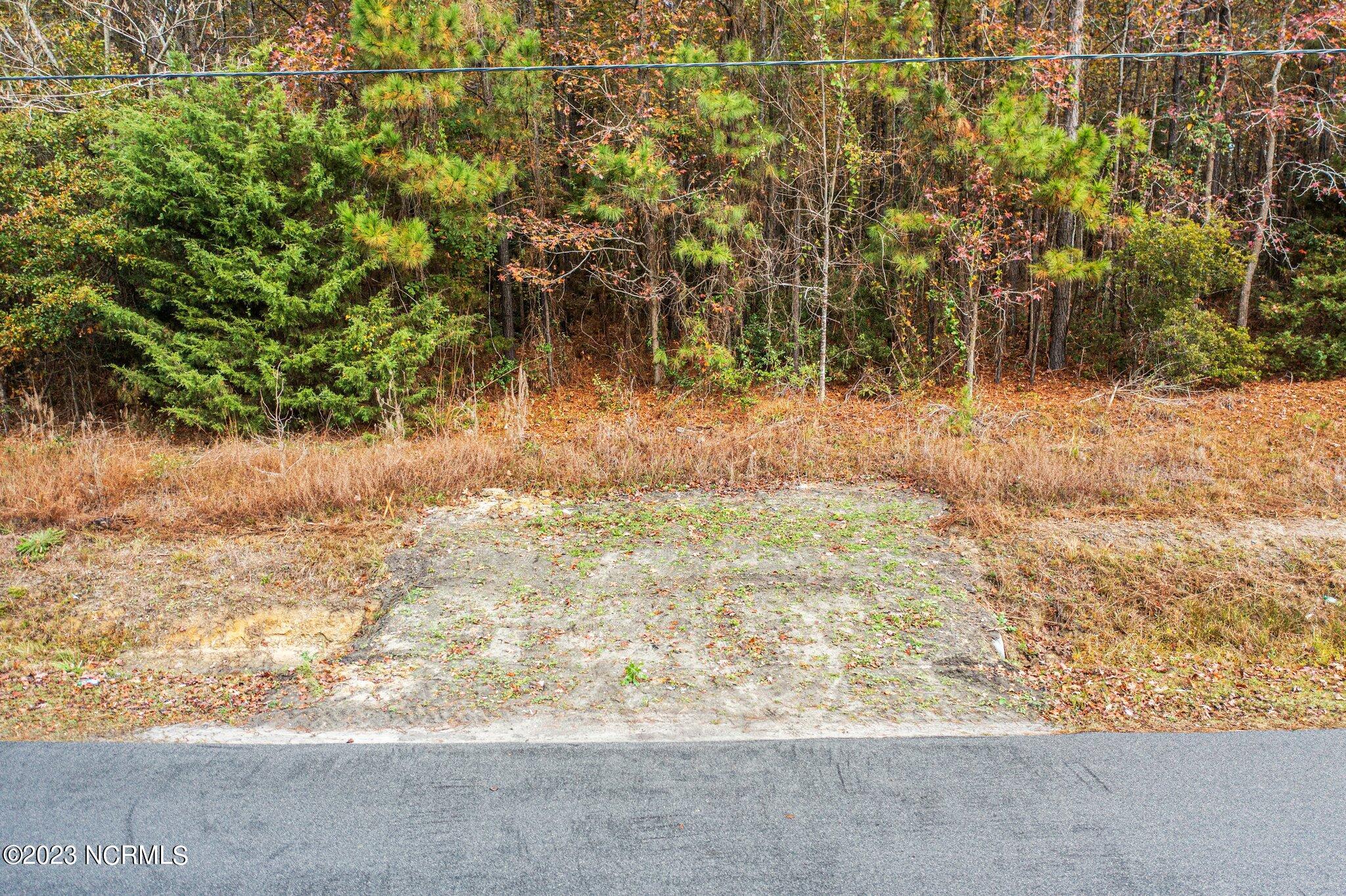 100415479 | Photo 23