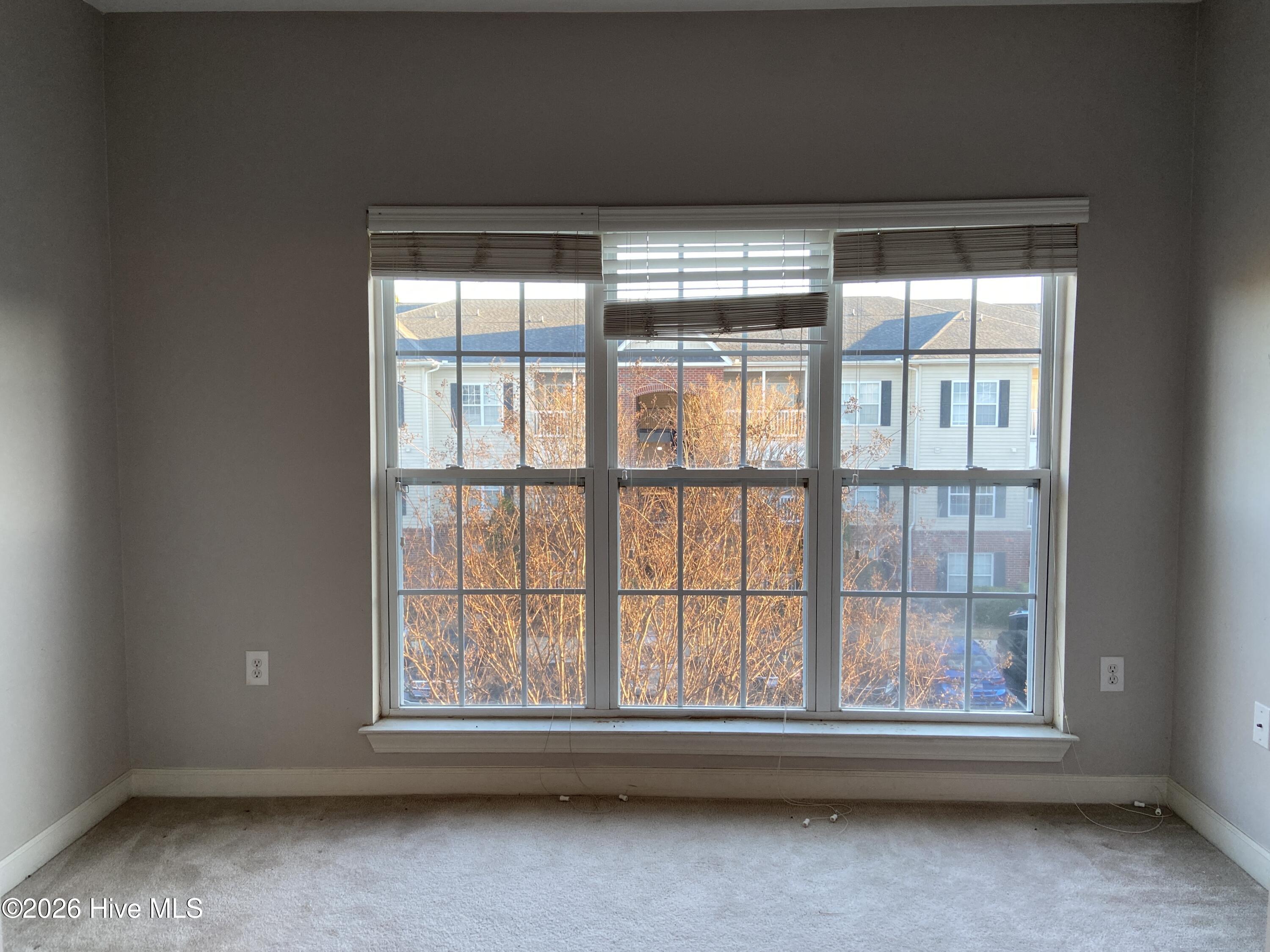 100549389 | Photo 13