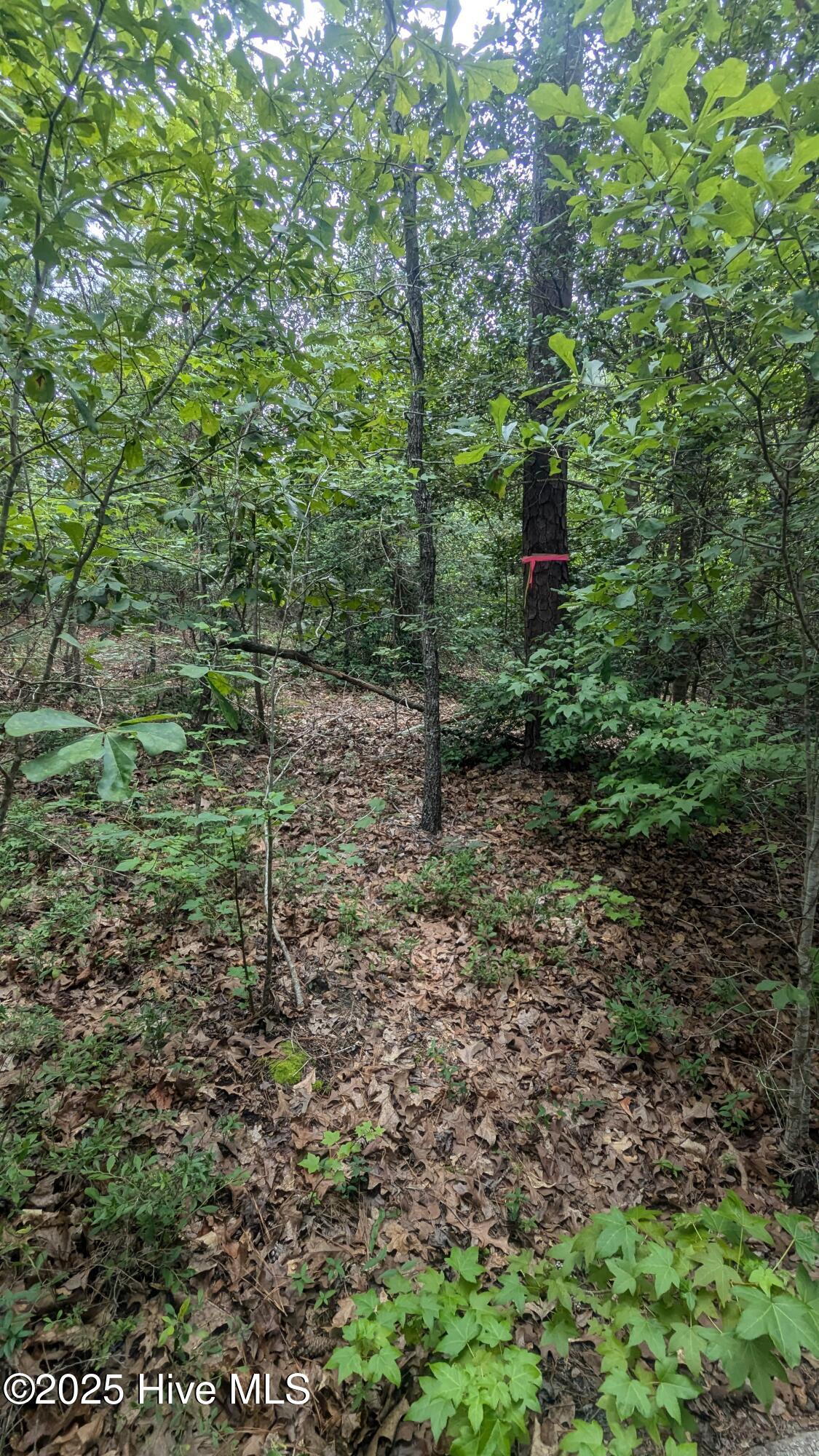 Tbd Line Road, Cameron, NC, 28326