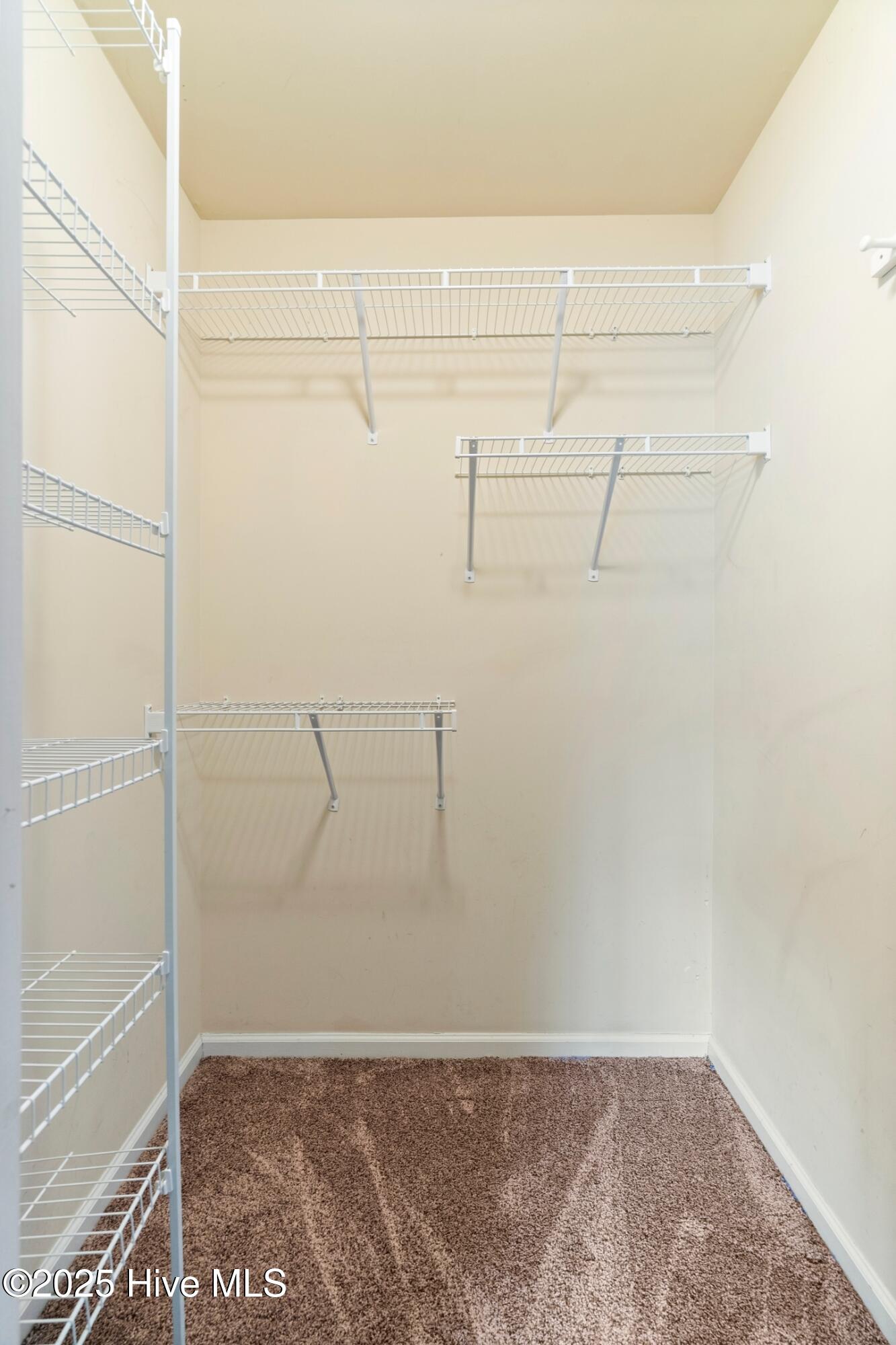 100530465 | Photo 30