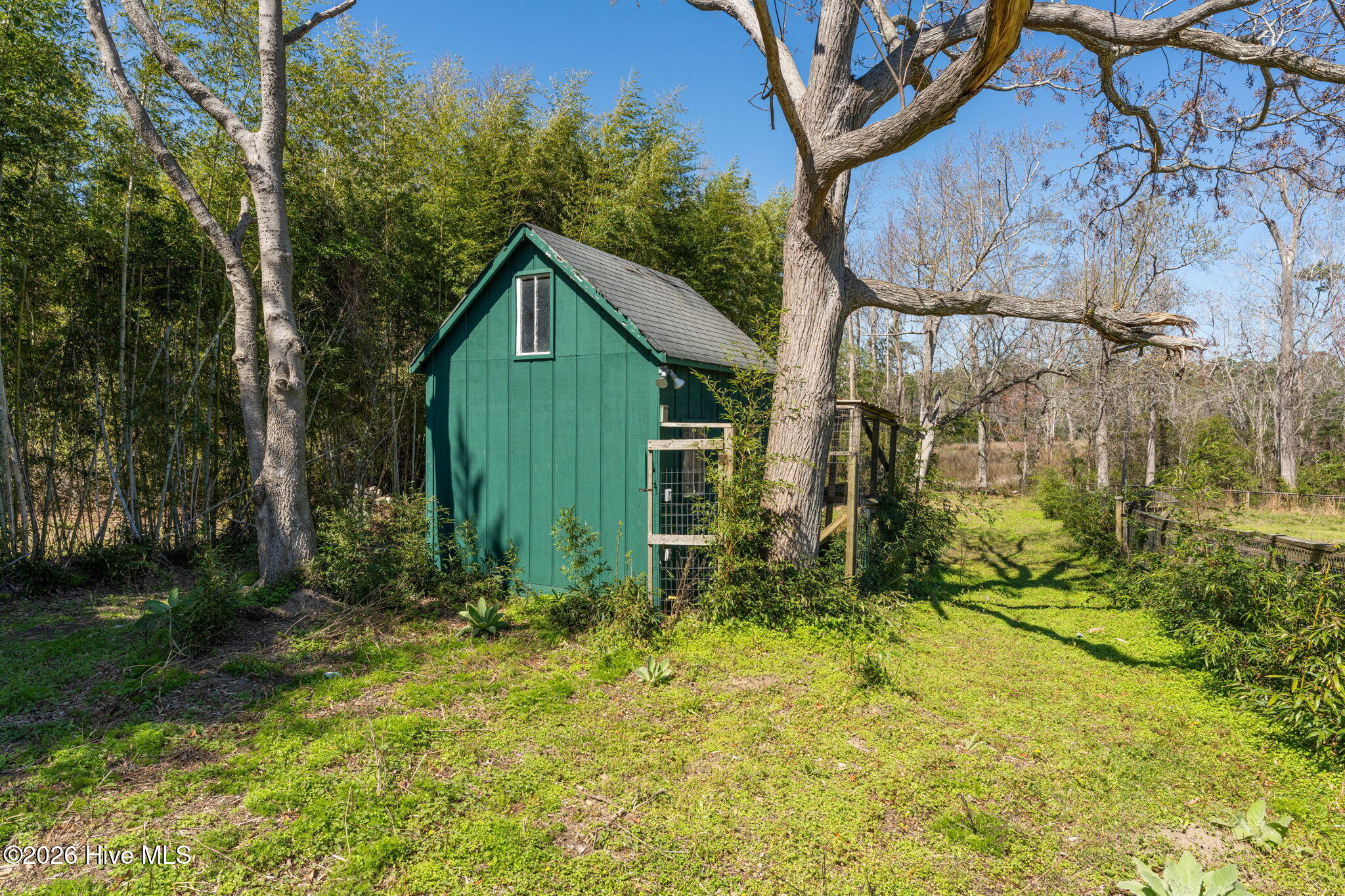 100552056 | Photo 73