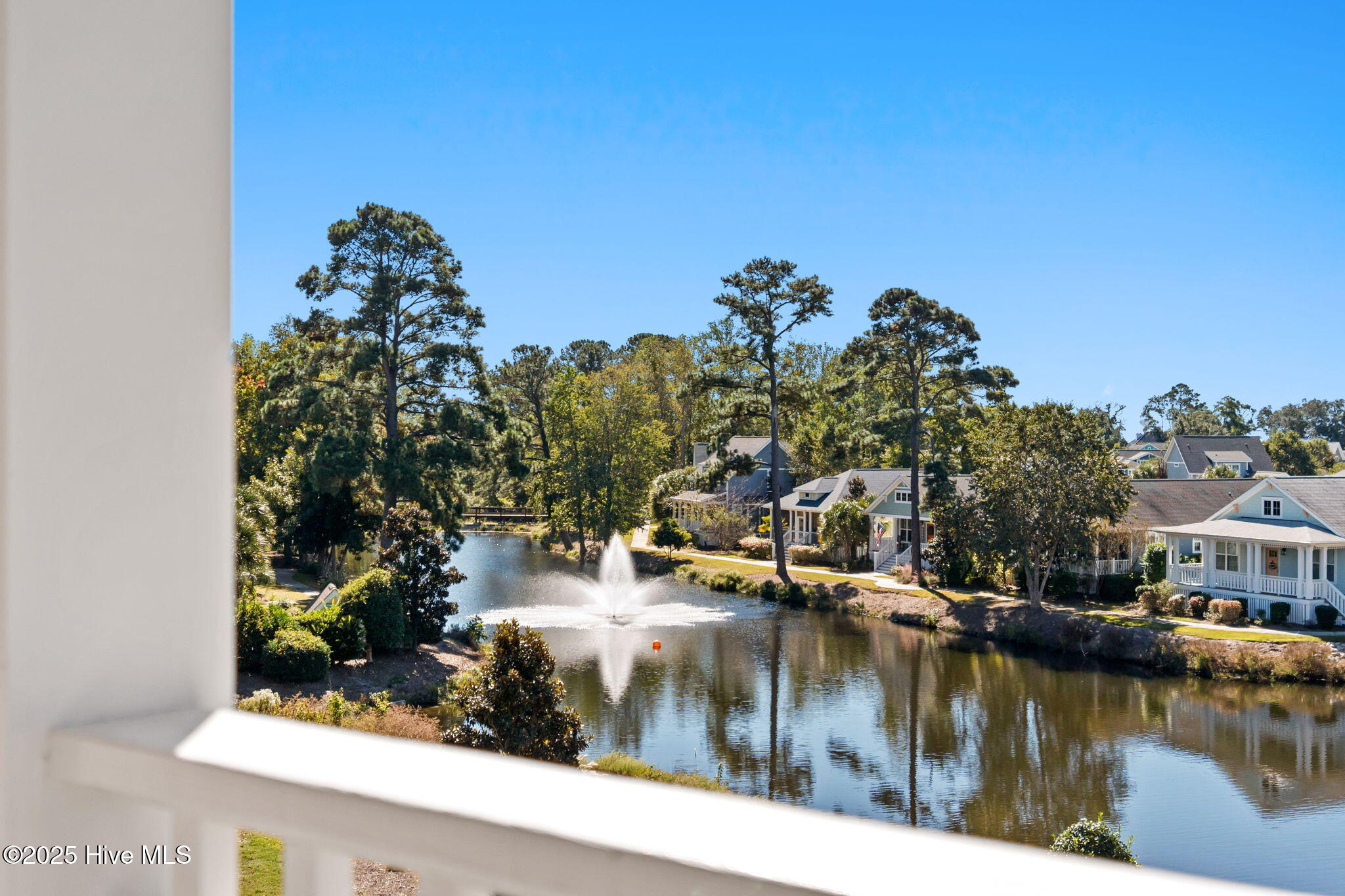 100536977 | Photo 51