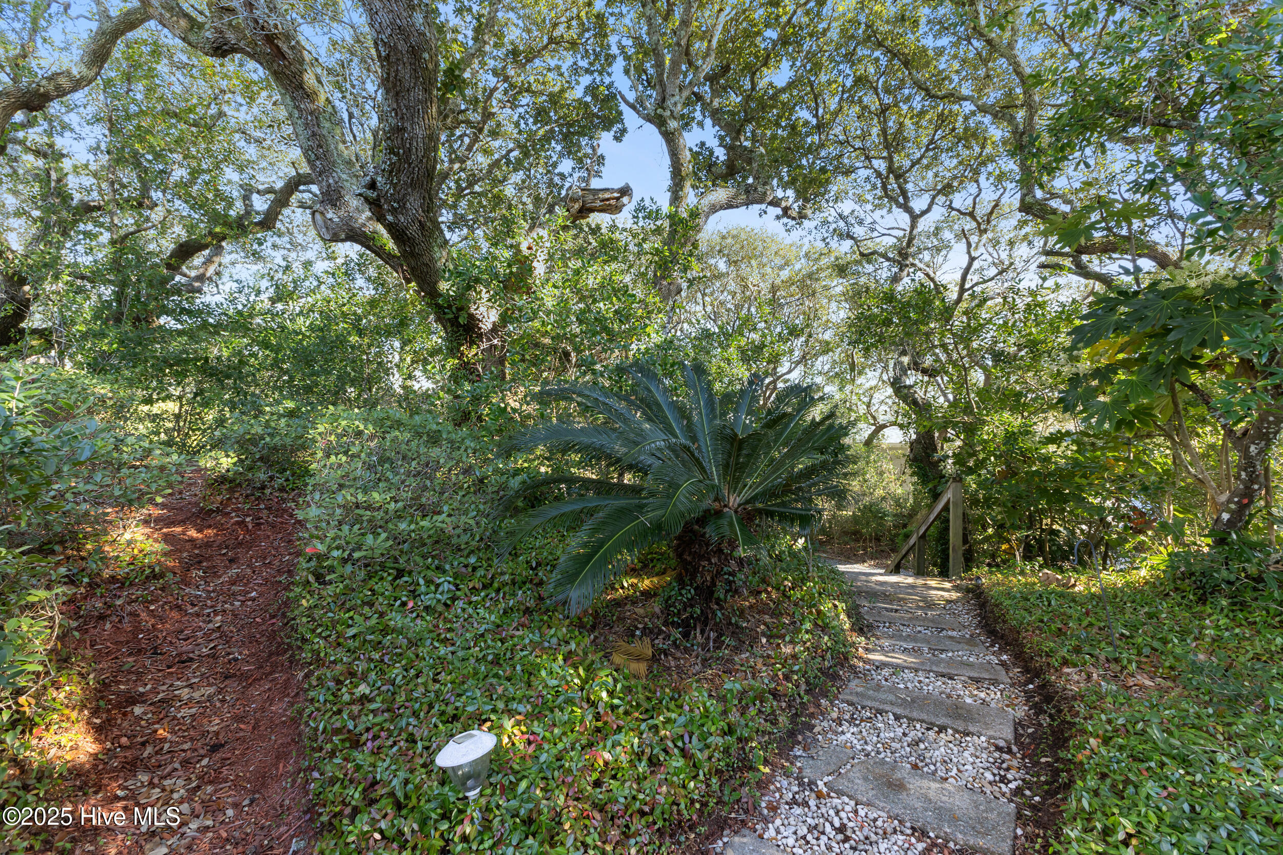 100545417 | Photo 56