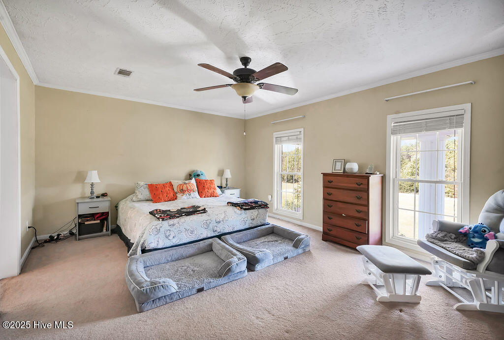 100537845 | Photo 37